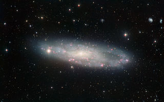 NGC 247, þyrilþoka, Hvalurinn, Myndhöggvarahópurinn