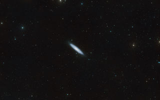NGC 253, Myndhöggvaraþokan