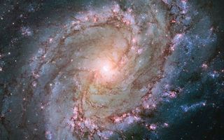 Ljósmynd Hubble geimsjónaukans af bjálkaþyrilþokunni Messier 83