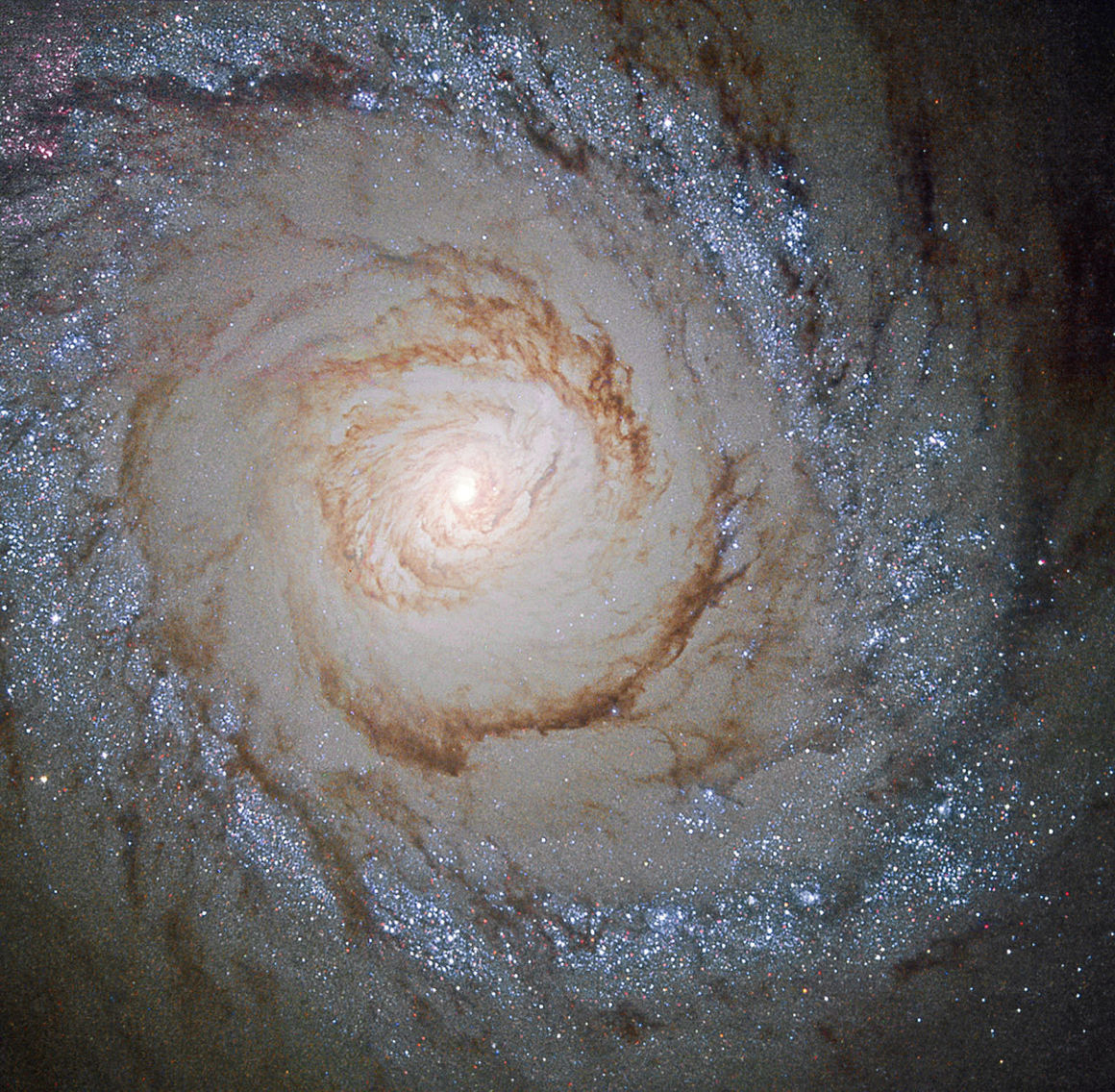 Hrinuvetrarbrautin Messier 94