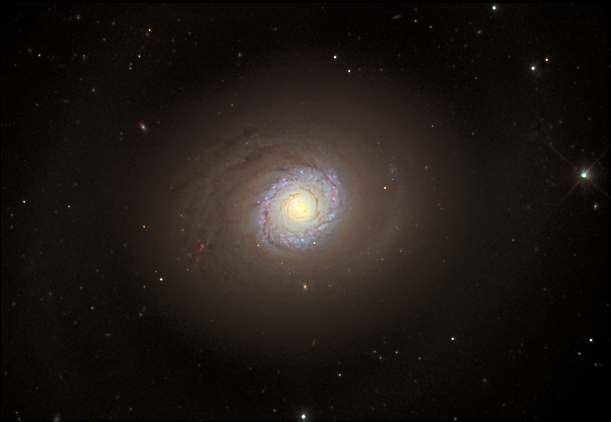 Messier 94 Stjörnufræðivefurinn