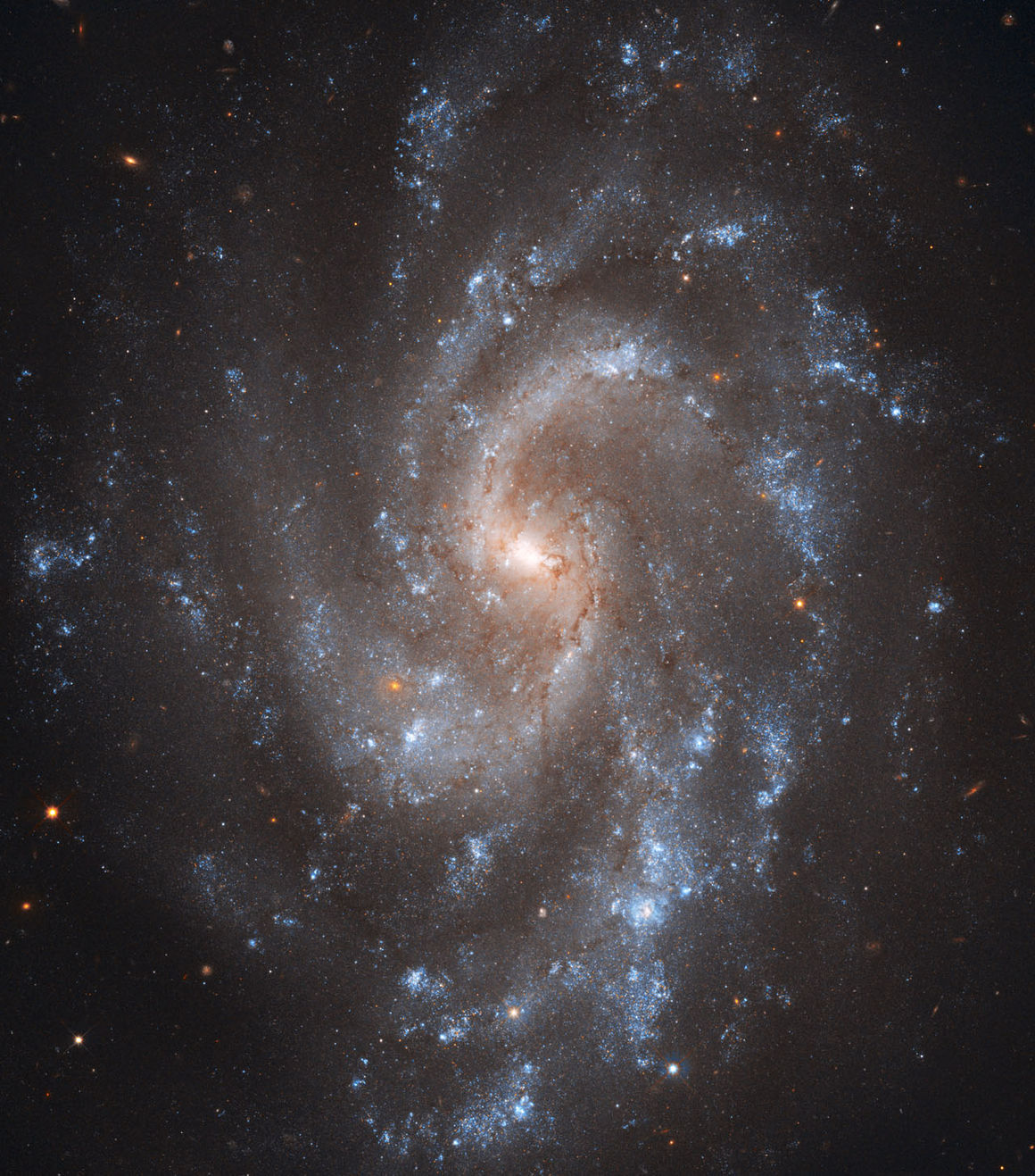 NGC 5584, þyrilþoka, þyrilvetrarbraut, sefítar, Meyjan