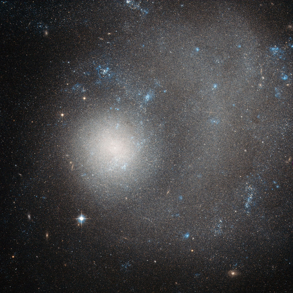 Dvergvetrarbrautin NGC 5474 í Stórabirni