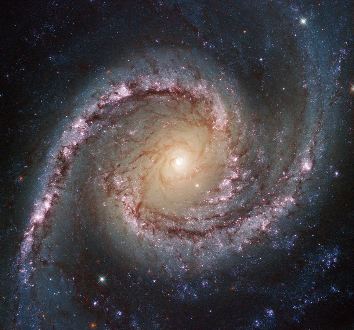 Þyrilvetrarbrautin NGC 1566 í stjörnumerkinu Sverðfisknum