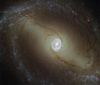 Þyrilvetrarbrautin NGC 1433 í stjörnumerkinu Sverðfisknum. Mynd: ESA/Hubble og NASA