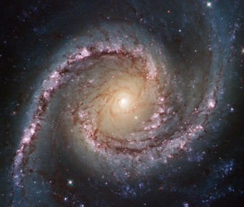 Þyrilvetrarbrautin NGC 1566 í stjörnumerkinu Sverðfisknum