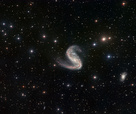 Kjötkrókur, Kjötkróksvetrarbrautin, Kjötkróksþokan, NGC 2442