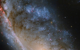 Kjötkrókur, Kjötkróksvetrarbrautin, Kjötkróksþokan, NGC 2442