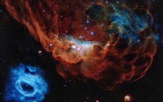 NGC 2014, NGC 2020, Stóra Magellansskýið