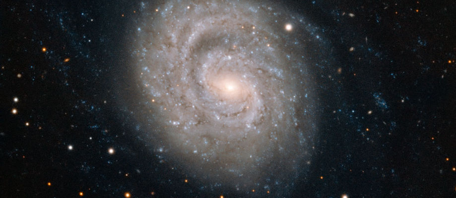 NGC 1637, vetrarbraut, þyrilvetrarbraut