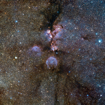Innrauð mynd VISTA af Kattarloppunni (NGC 6334)