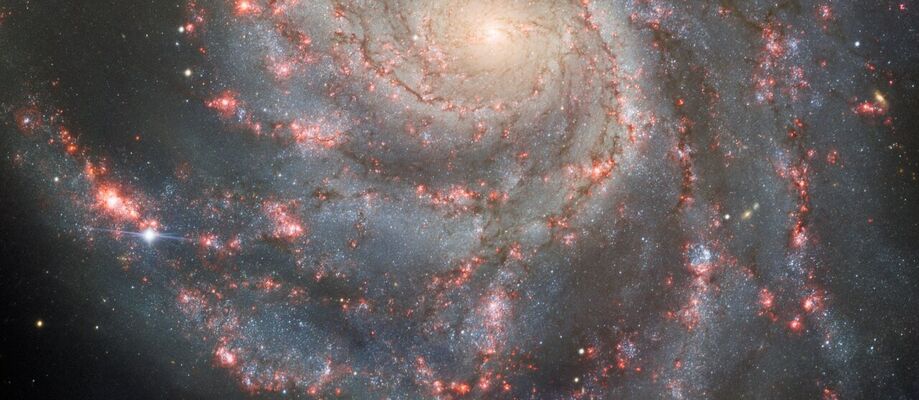 Sprengistjarna í Messier 101