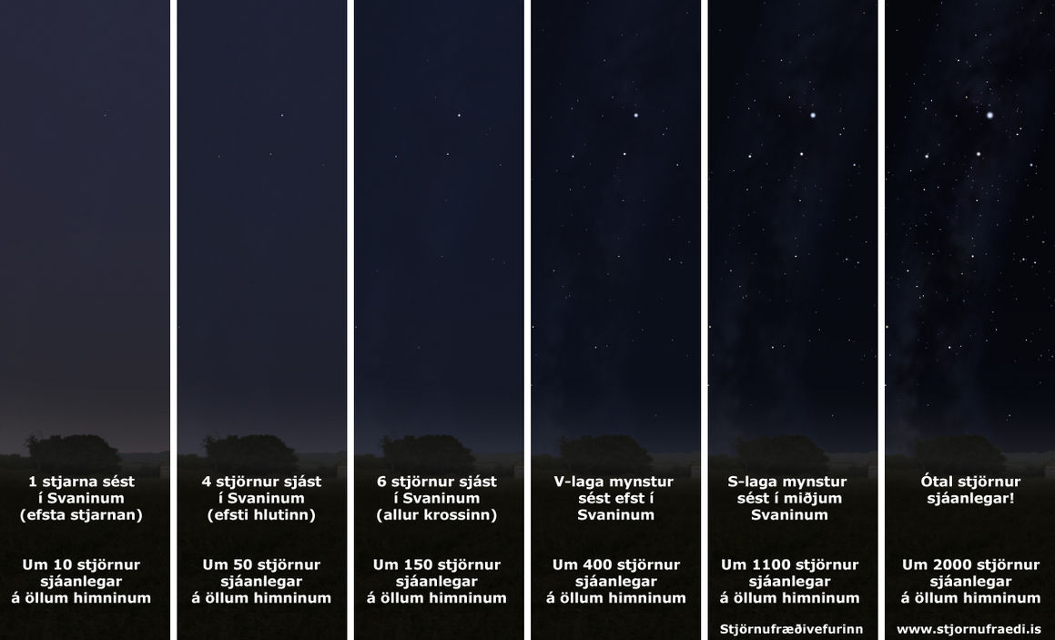 Birtustig himins og lysing - samanburdur á Svaninum