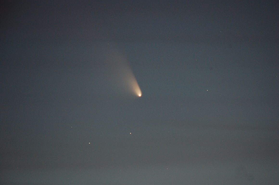 PANSTARRS, halastjarna