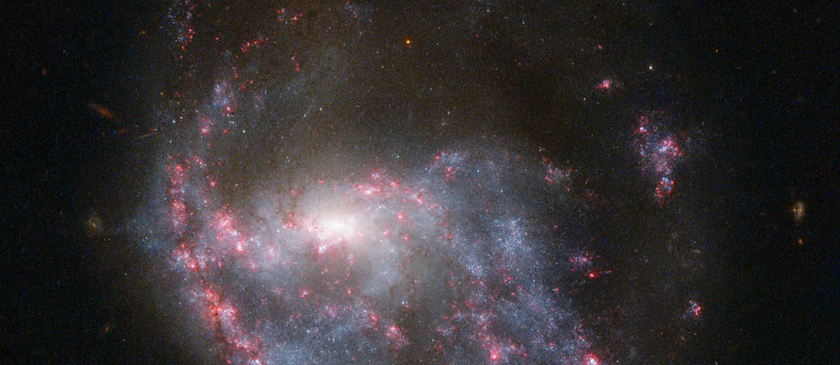 NGC 922, vetrarbraut, hringvetrarbraut