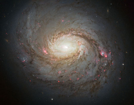 Messier 77, þyrilvetrarbraut, vetrarbraut