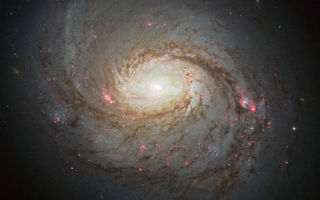Messier 77, M77, þyrilvetrarbraut, vetrarbraut