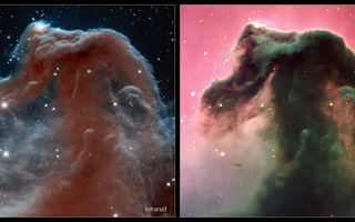 Riddaraþokan, Barnard 33, Horsehead nebula