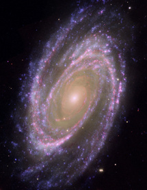 Messier 81, Messier 82, þyrilþoka, Stóribjrön