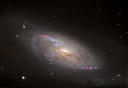 Messier 106, þyrilþoka, Veiðihundarnir