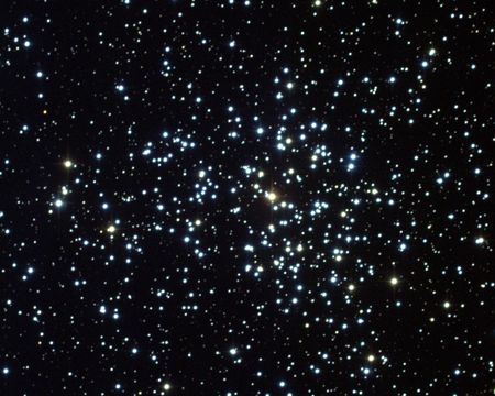 Messier 37, lausþyrping, Ökumaðurinn