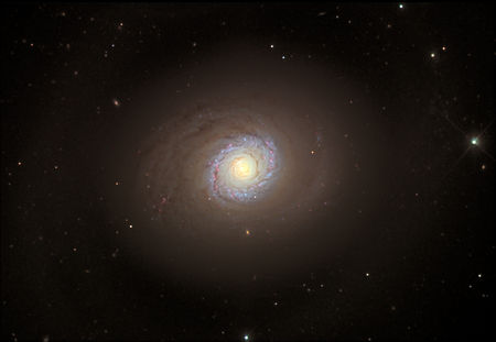 Messier 94, þyrilþoka, Veiðihundarnir