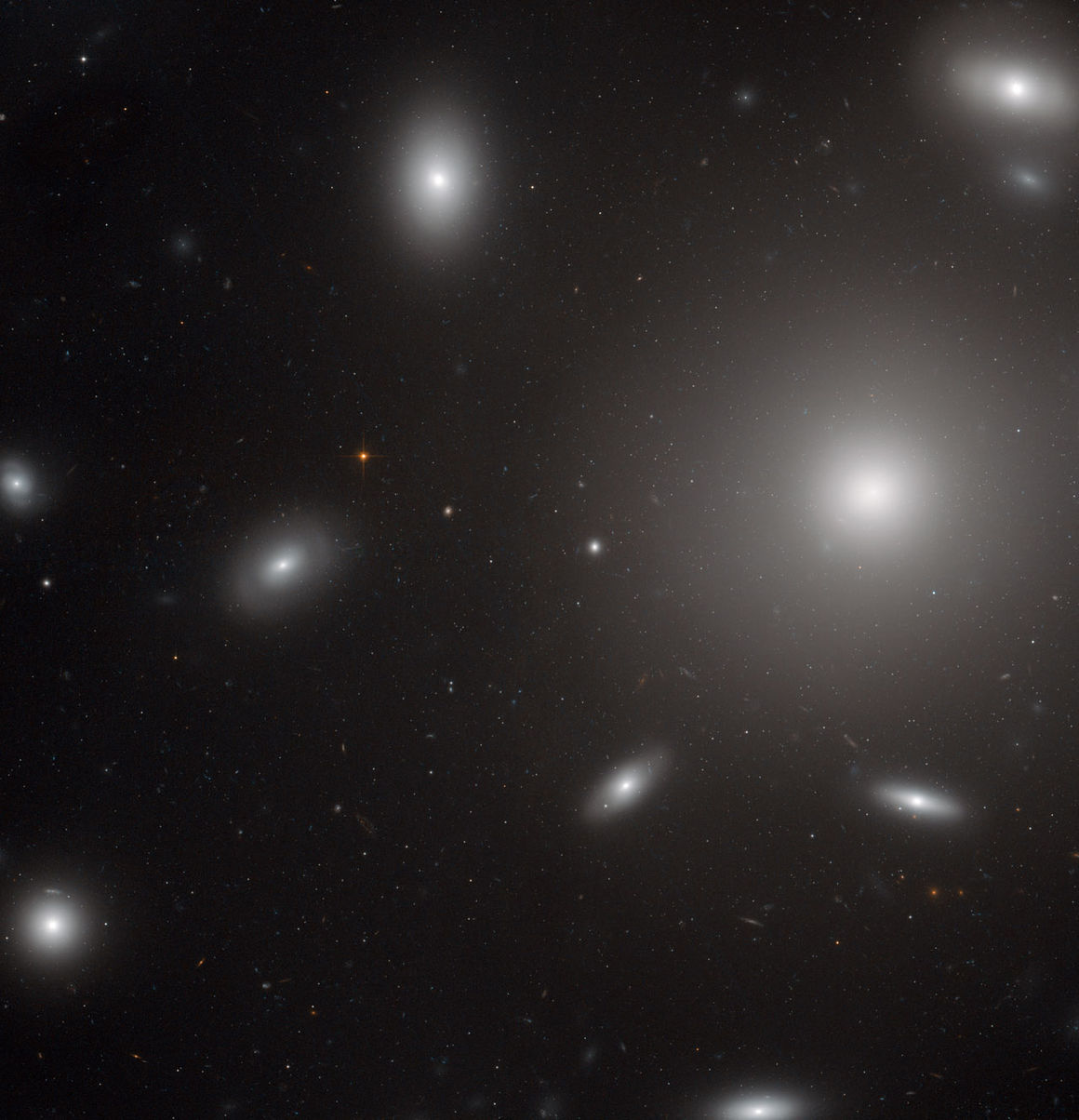 NGC 4874, Bereníkuhaddur, Haddþyrpingin