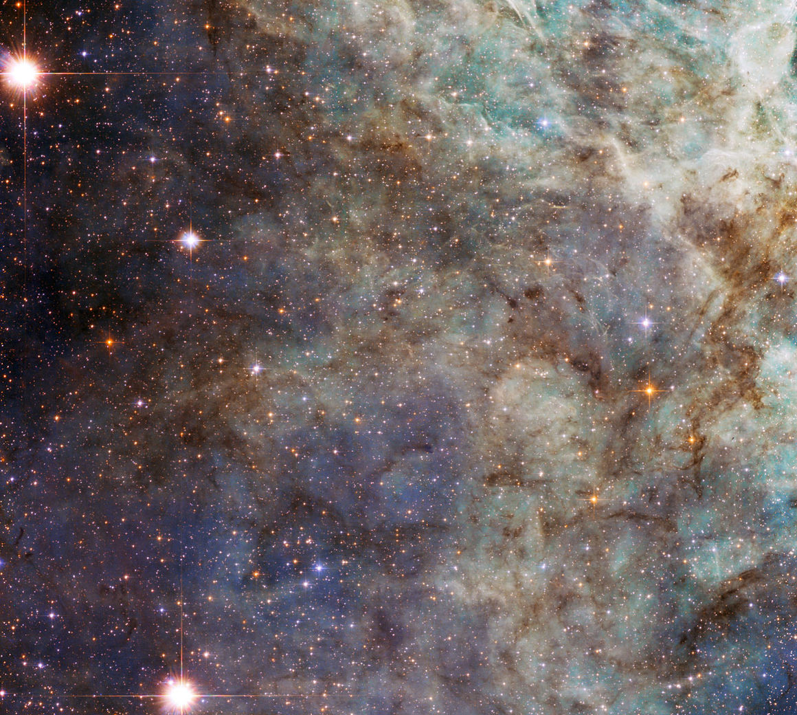 Tarantúluþokan, Tarantúlan, NGC 2070, Sverðfiskurinn