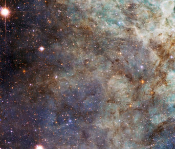 Tarantúluþokan, Tarantúlan, NGC 2070, Sverðfiskurinn