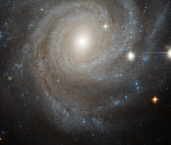 NGC 3344, Þyrilvetrarbraut, Bjálki