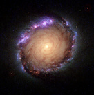 NGC 1512, bjálkaþyrilvetrarbraut