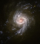 NGC 3310, þyrilvetrarbraut