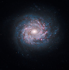 NGC 3982, þyrilvetrarbraut