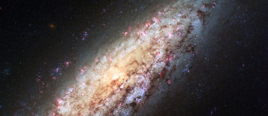 Þyrilvetrarbrautin NGC 6503 í stjörnumerkinu Drekanum