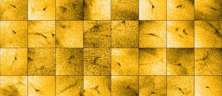 Píkóblossastrókar á myndum Solar Orbiter gervitunglsins