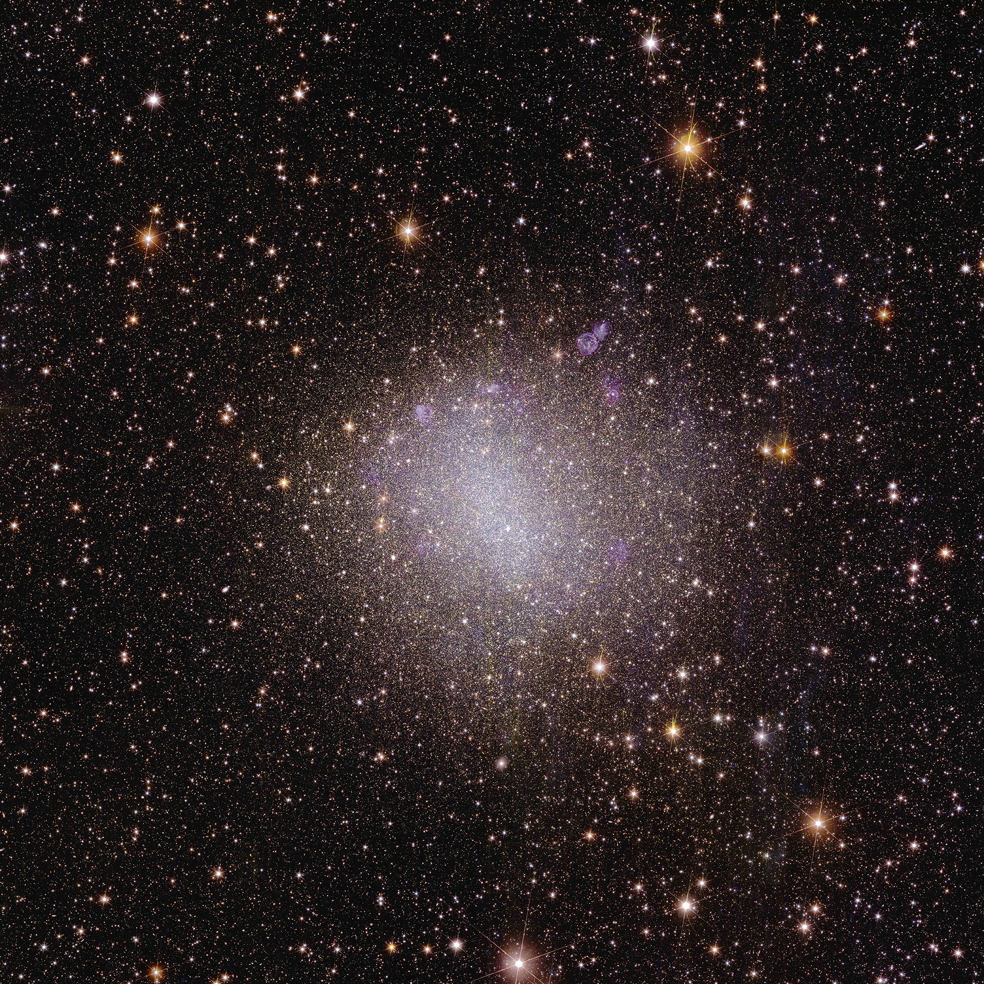 Euclid_s_view_of_irregular_galaxy_NGC_6822