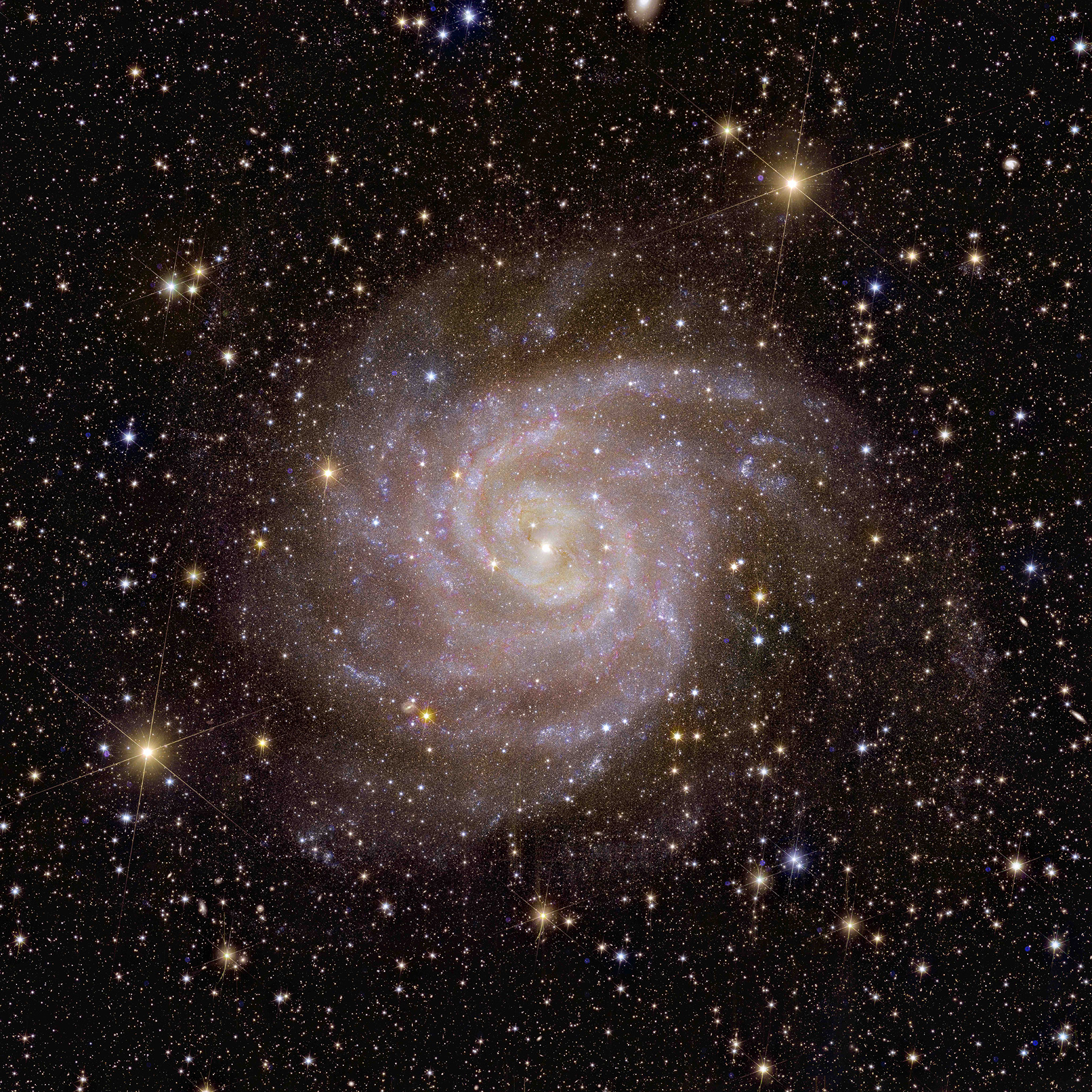 Euclid_s_view_of_spiral_galaxy_IC_342