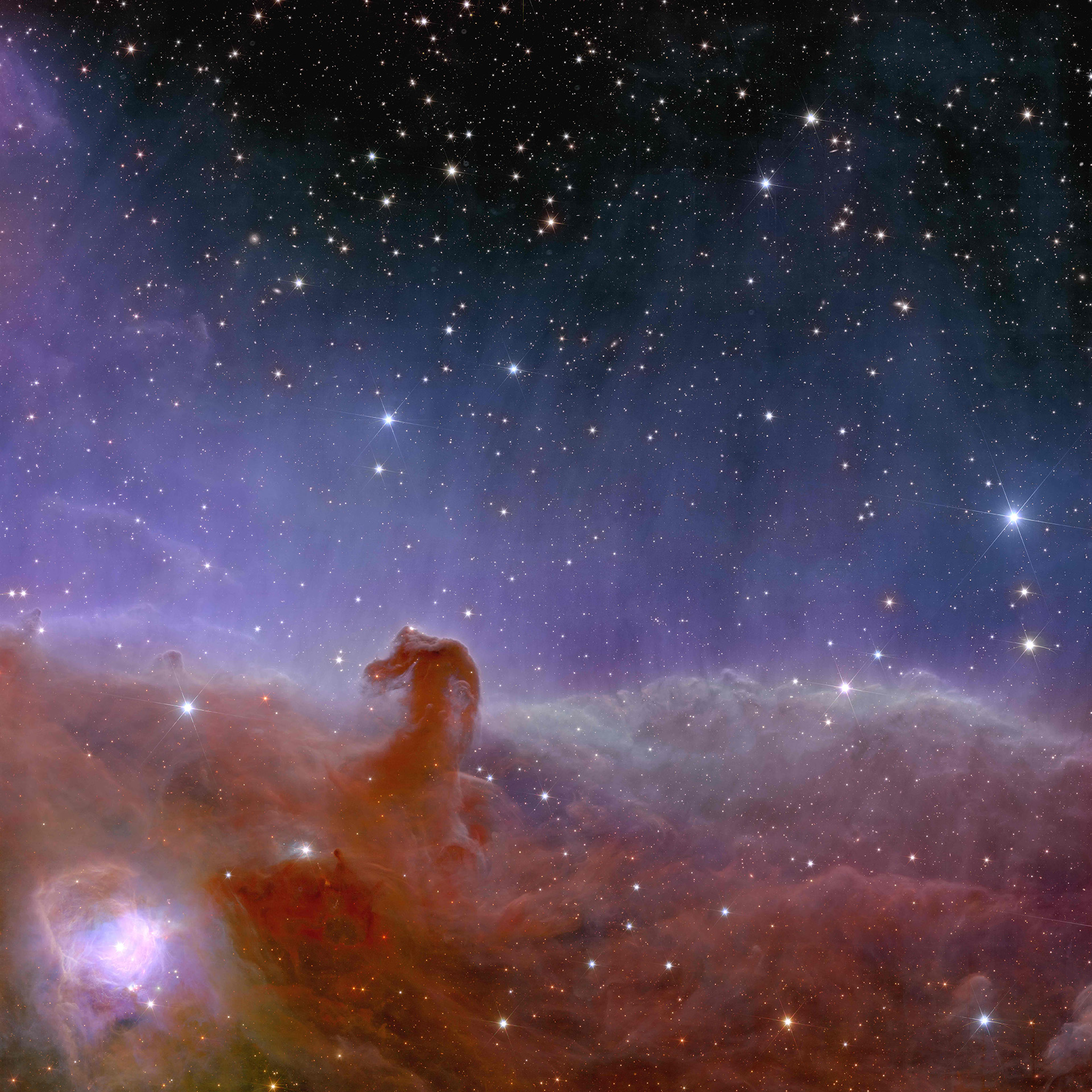 Euclid_s_view_of_the_Horsehead_Nebula