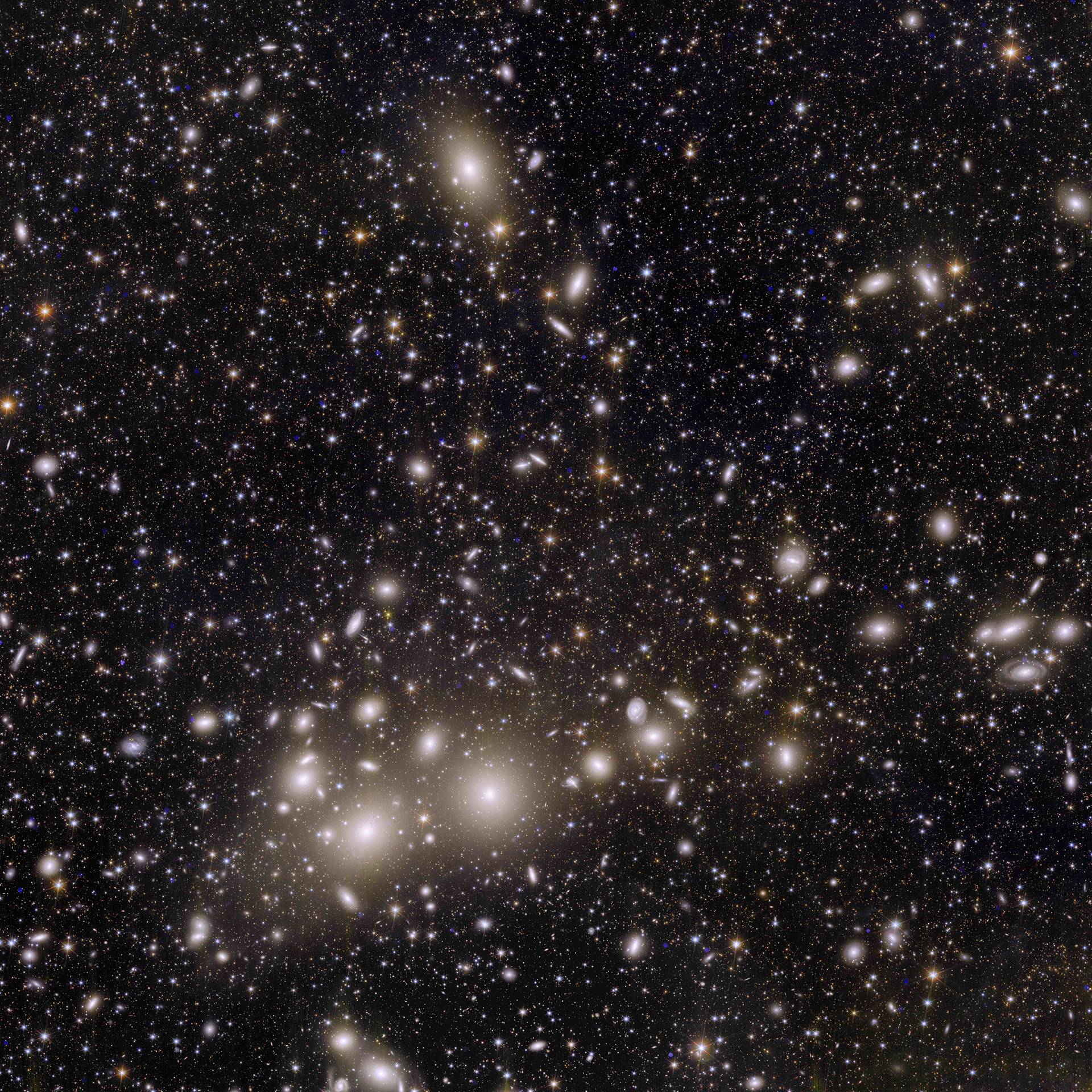 Euclid_s_view_of_the_Perseus_cluster_of_galaxies